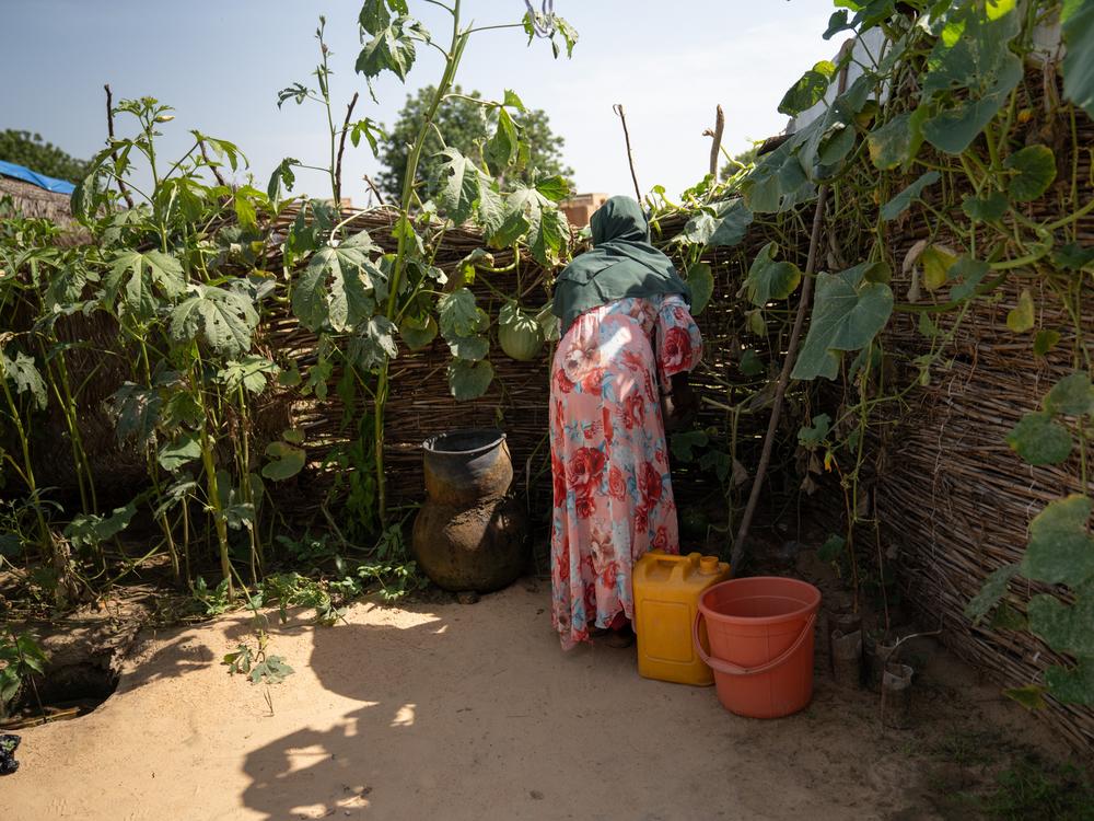 Outside the tent where Entesar lives with family members in Chad, they grow fruits and vegetables, including squash, melons and tomatoes. It's a reminder of the life they had before fleeing Sudan. Reflecting on her sexual assault and thinking of other women who've had such an experience, she says she'd like to tell them: 