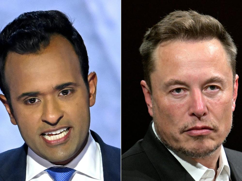 Entrepreneur and former Republican presidential hopeful Vivek Ramaswamy and SpaceX, Twitter and Tesla CEO Elon Musk will lead a so-called Department of Government Efficiency in the Trump administration.