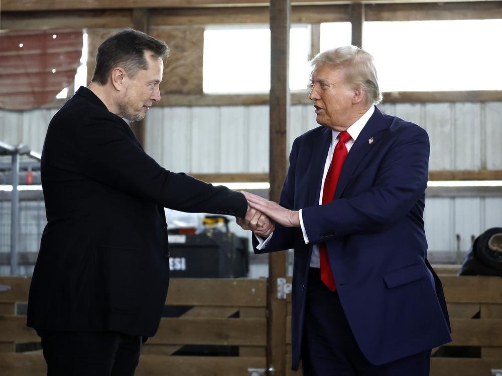 President-elect Trump shakes hands with Elon Musk at a campaign stop in Butler, Pa., on October 5, 2024. Trump has named Musk and former presidential hopeful Vivek Ramaswamy co-leaders of a new commission called the 