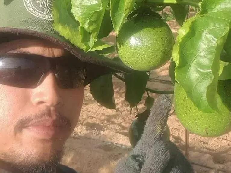 Thai farmworker Ubon Namsan poses in a selfie last year in southern Israel, where he picked passionfruit at a farm in October 2023, when Hamas attacked Israel. More than 1,200 people were killed that day, Israel says, among them 66 foreign laborers, most of them Thai.