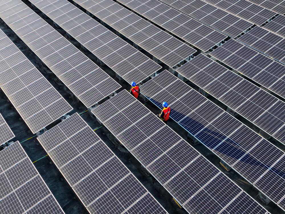 Renewable energy capacity is growing rapidly, especially in China, where this rooftop solar array is installed. The increasing use of sources like wind and solar power is driving down greenhouse gas emissions around the globe.
