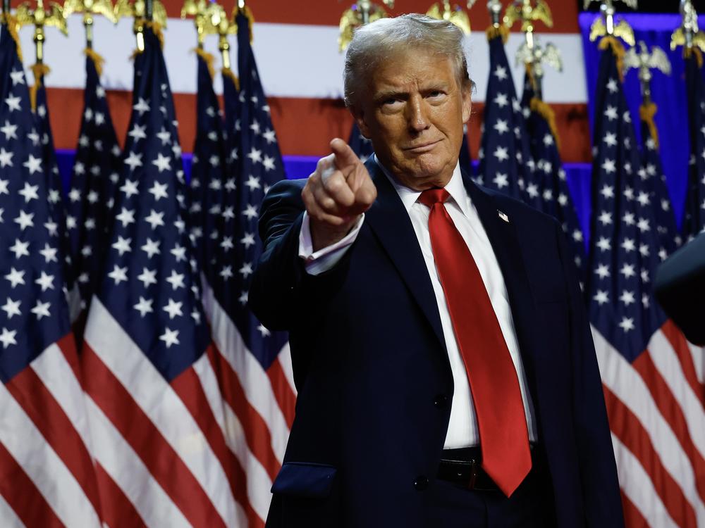 President-elect Donald Trump greets supporters on election night. Trump has repeatedly threatened his perceived enemies.