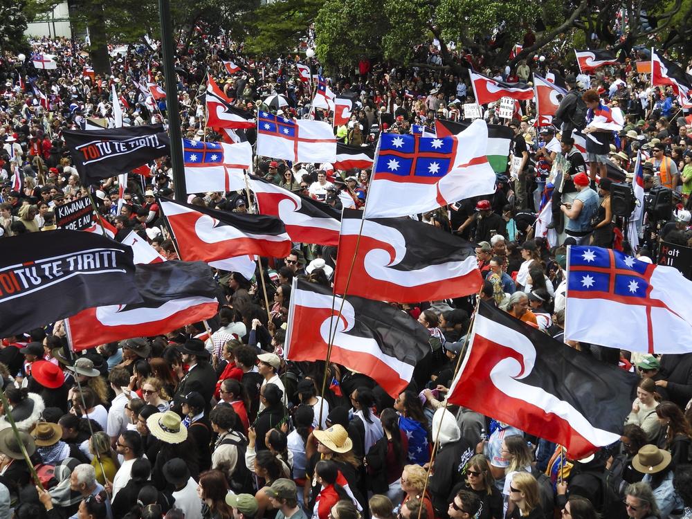 Thousands of people gather outside New Zealand's parliament to protest a proposed law that would redefine the country's founding agreement between Indigenous Māori and the British Crown, in Wellington on Tuesday.