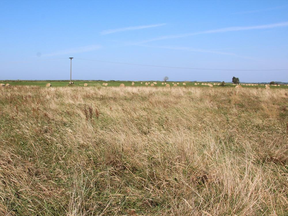 The surface of this field on Germany's Baltic Sea coast has sunk by up to three feet since its protective layer of water was removed.