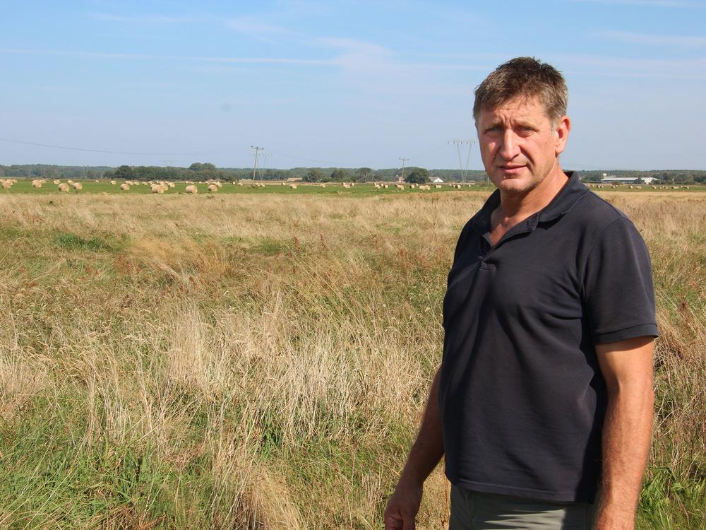 Jörg Espig, a farmer in Usedom, Germany, grows hay and grazes cows on several hundred acres of drained peatlands.