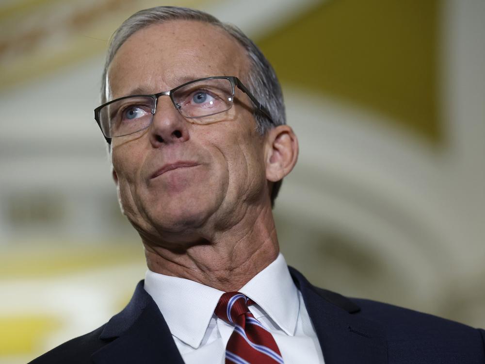 Sen. John Thune, R-S.D., speaks after being elected Senate Majority Leader for the 119th Congress following the Senate Republican leadership elections on Nov. 13.