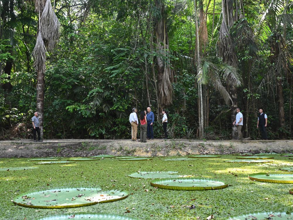 President Biden walks through a preserve on the edge of the Amazon rainforest in Manaus, Brazil, on Nov. 17, 2024.