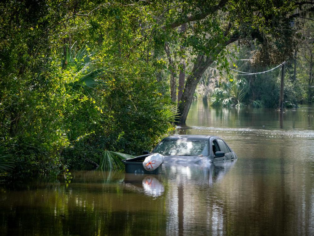 Climate change made Hurricane Helene more powerful, rainier, and significantly more likely according to a study by World Weather Attribution. The study found that rainfall from Helene was about 10% heavier due to human-caused climate change. That's a massive amount of additional precipitation, and similar to other damaging, climate-fueled hurricanes in the past decade, like Hurricanes Harvey and Ian.