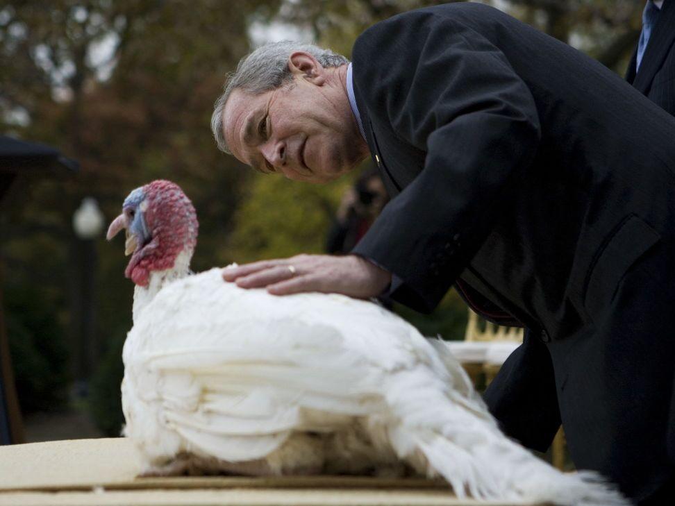 Then-President George W. Bush pets 