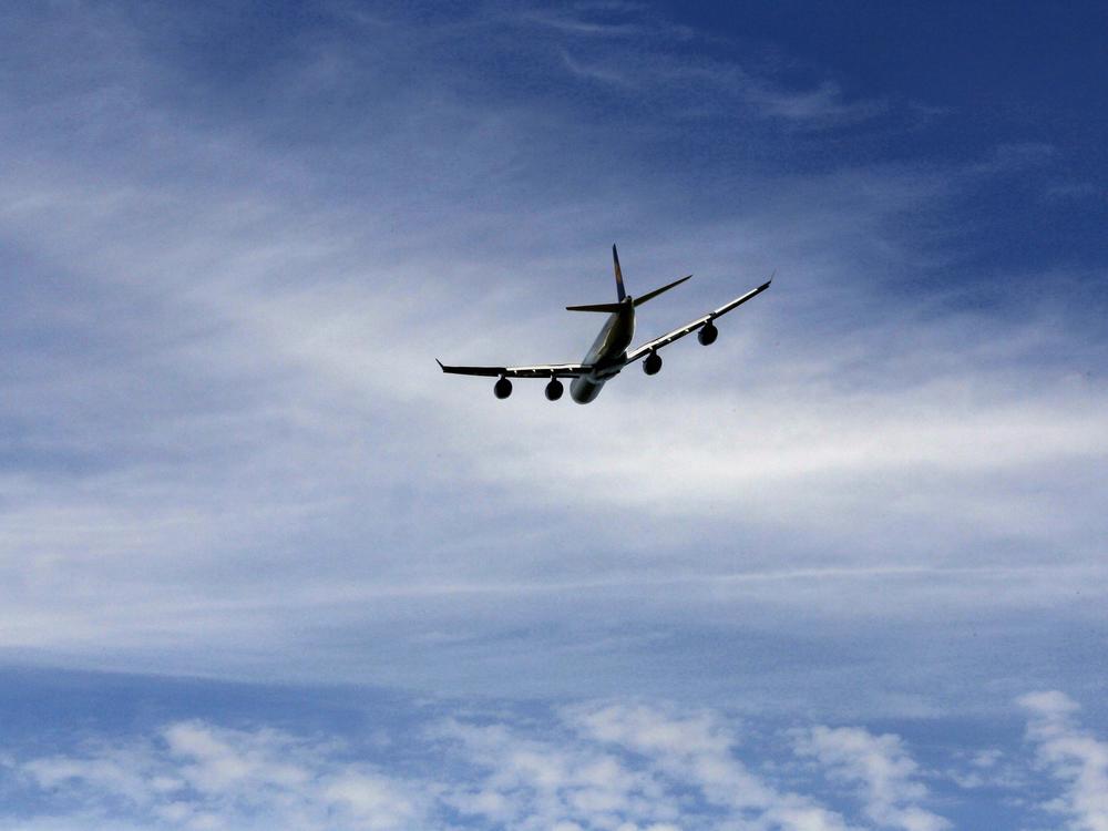 Not all movies work at cruising altitude. If you're traveling for the holidays, here's what NPR's pop culture critics suggest to make the time fly by.
