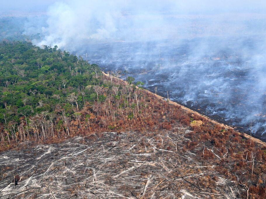 A portion of Amazon rainforest deforested by illegal fire in Brazil this August. 
