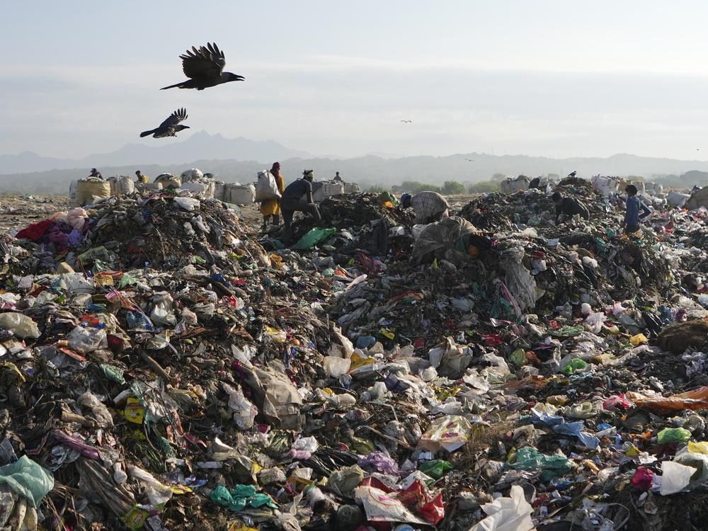 People look for reusable material at a garbage dump filled with plastic and other waste on the outskirts of Jammu, India.