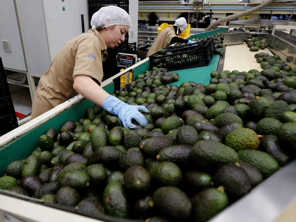 Trump's threat to impose tariffs on Mexico and Canada could end up hurting Americans too. Among the products impacted could be gasoline and guacamoles.