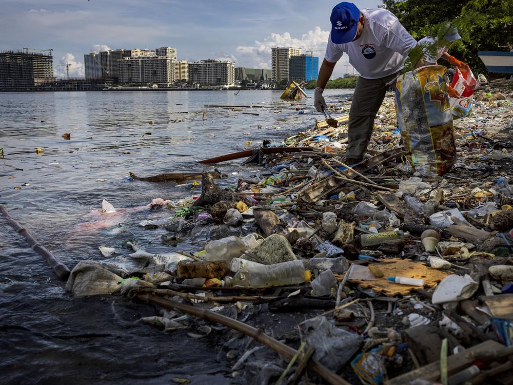 A volunteer collects plastic waste that washed up on the shores and mangroves in the Philippines.