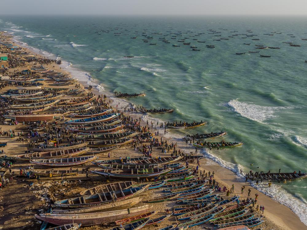 The African nation of Mauritania was a land of pastoral nomads when it gained independence from France in 1960, but it has since become a nation of fishermen as well, with hundreds of pirogues lining the beach of the capital of Nouakchott.