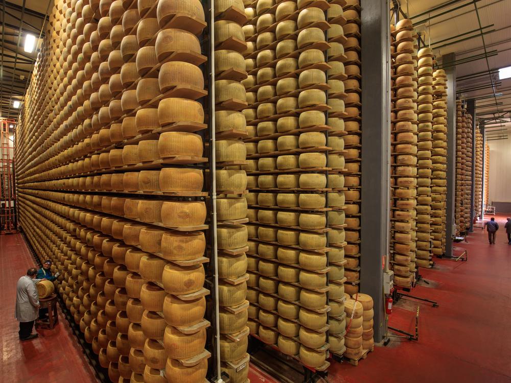The Magazzini Generali delle Tagliate warehouse in Emilia Romagna, Italy is the Fort Knox of cheese, with an inventory of 500,000 wheels worth an estimated 157 million dollars. Production of classic Parmigiano Reggiano dates back to Benedictine monks in the Middle Ages. For the last 80 years, production has been strictly controlled. Cows must be raised in the provinces of Parma, Reggio Emilia, Modena, and parts of Bologna and Mantua, and eat only local forage. It takes 145 gallons of milk to make each 84-p…