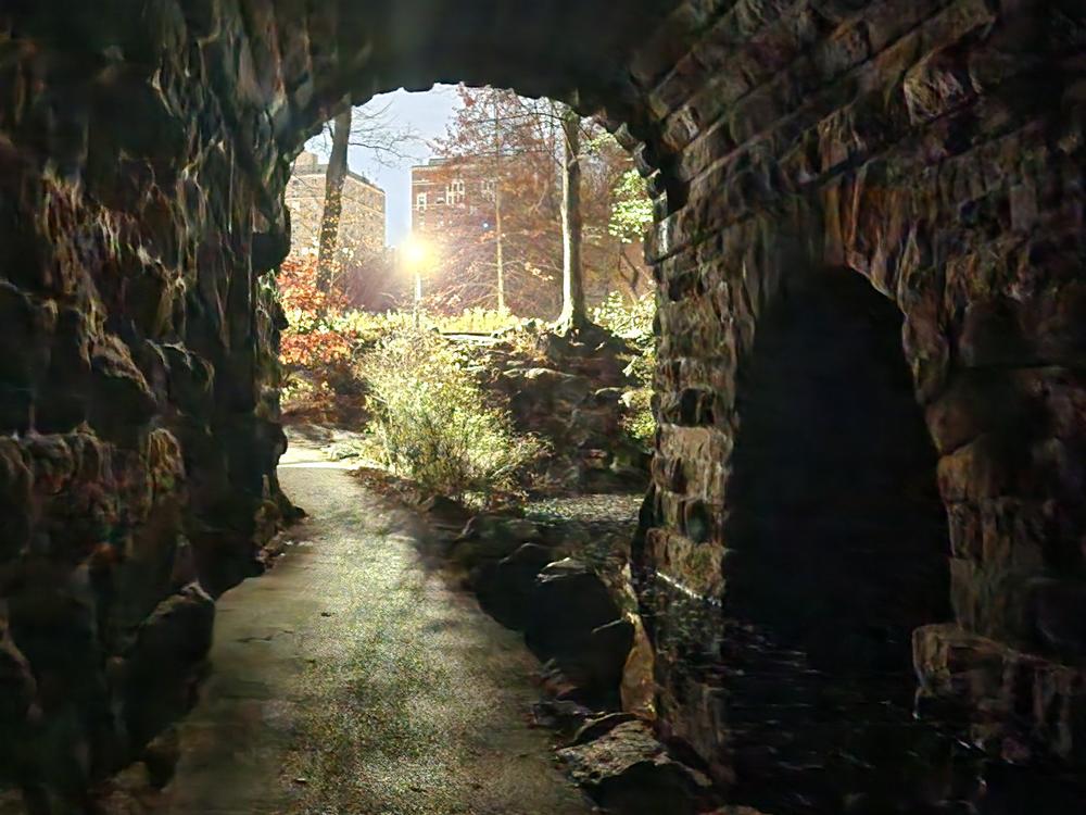 In Central Park, woodland paths lead through arched tunnels.  The first dawn light and the electric glow of the city shine on the stonework.