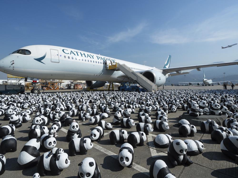 Part of 2500 panda sculptures are displayed at the Hong Kong International Airport during a welcome ceremony of the panda-themed exhibition 