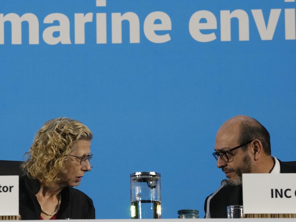 Chair of the International Negotiating Committee, Luis Vayas Valdivieso (right), speaks with Inger Andersen, executive director of UNEP, before the start of a plenary of the fifth session of the Intergovernmental Negotiating Committee on Plastic Pollution in Busan, South Korea, Sunday, Dec. 1, 2024.