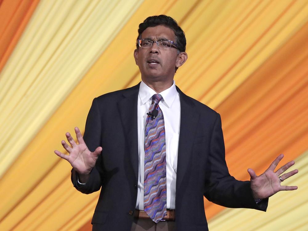 Author and filmmaker Dinesh D'Souza addresses the Republican Sunshine Summit on June 29, 2018, in Kissimmee, Fla.
