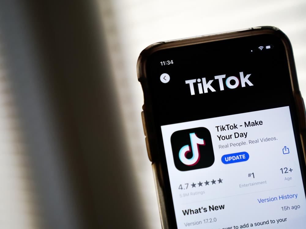 After President Biden signed a law banning TikTok unless it divests from its China-based owner ByteDance, the viral video app sued to block it, arguing the act violates the First Amendment rights of millions of Americans.