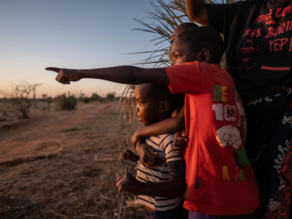 Children stand at the broken fenceline of Mosi-oa-Tunya National Park at dusk and watch as animals begin to cross into the outskirts of Livingstone, Zambia.