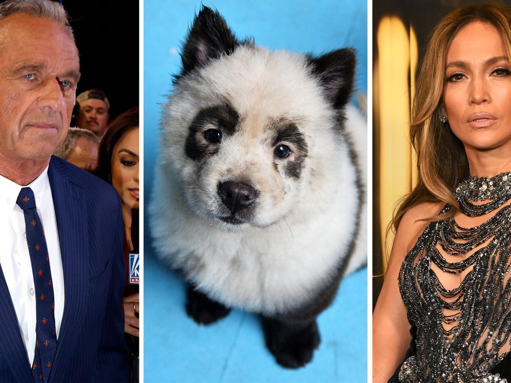 From left: RFK Jr., a panda? a dog?, J.Lo