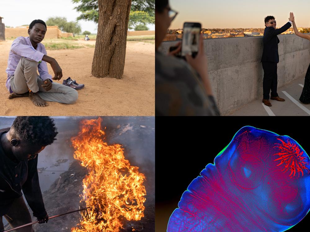 Clockwise from upper left: <strong>Mahamat Djouma</strong>, 14, fled the war in Sudan without parents and with his 5-year-old twin brothers, whom he now cares for. <strong>Eddie Almance (left) and his sister Leila</strong> of Texas pose before heading to prom. Their grandmother says that for seven generations, the family members have forged close bonds. A magnification of the anterior of the <strong>larva of the pork tapeworm</strong>. This year, the press reported on a past deposition by Robert F. Kennedy…