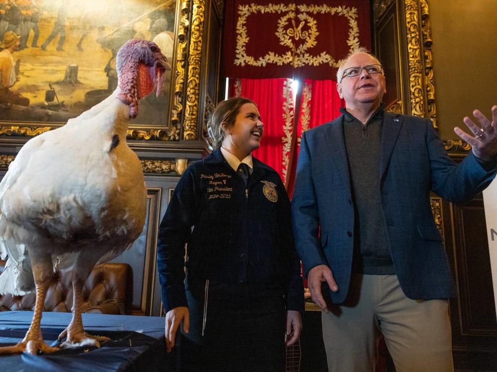 Gov. Tim Walz and Paisley VonBerge pose for photos with Tom, a 22-week-old turkey, in the governor's reception room at the State Capitol on Tuesday, Nov. 26, 2024.