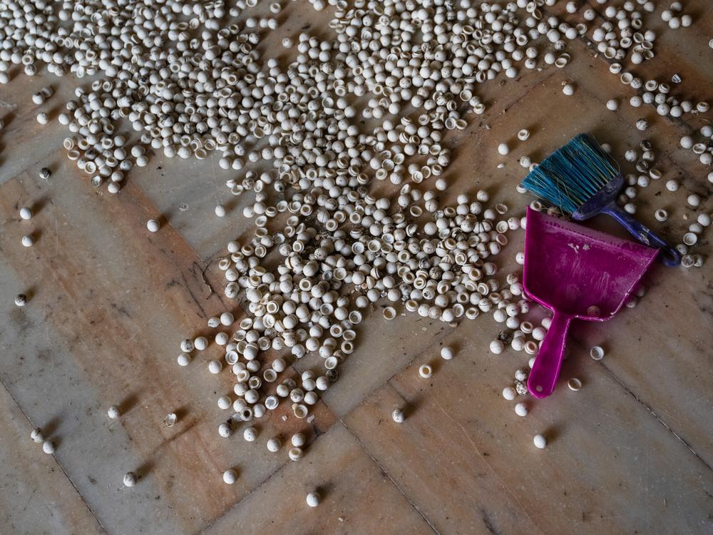 Pill holders are scattered across the floor in the building where Captagon was being made under Assad's regime.