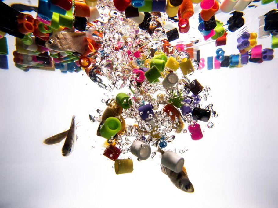 Scraps of plastic trash have inundated the oceans and waterways.