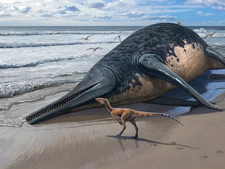 This illustration depicts a washed-up <em>Ichthyotitan severnensis </em>carcass on the beach.