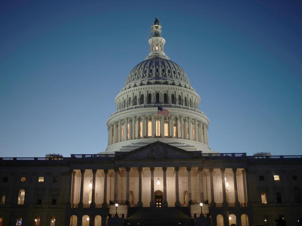 President-elect Donald Trump's demand that Congress suspend the debt limit as part of ongoing talks to prevent a government shutdown has put the focus on the debt ceiling yet again.