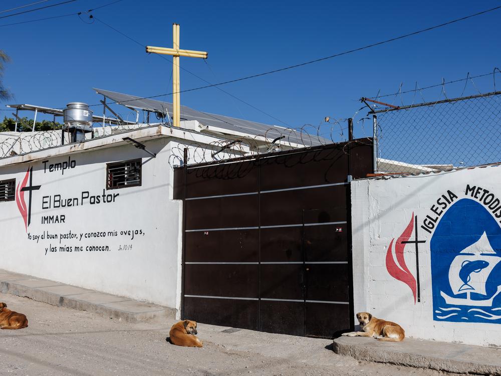 Stray dogs take in the sun outside of El Buen Samaritano migrant shelter in Ciudad Juárez, Chihuahua state, Mexico on Sunday, December 8, 2024.