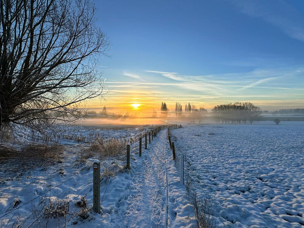 The sun rises over a snow-covered landscape in Denderhoutem, Belgium.