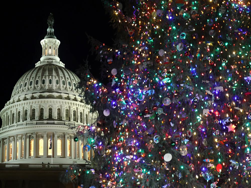 The U.S. Capitol Christmas Tree is up outside the building where GOP leaders are furiously scrambling to find a way to avoid a government shutdown at the end of the day on Friday.