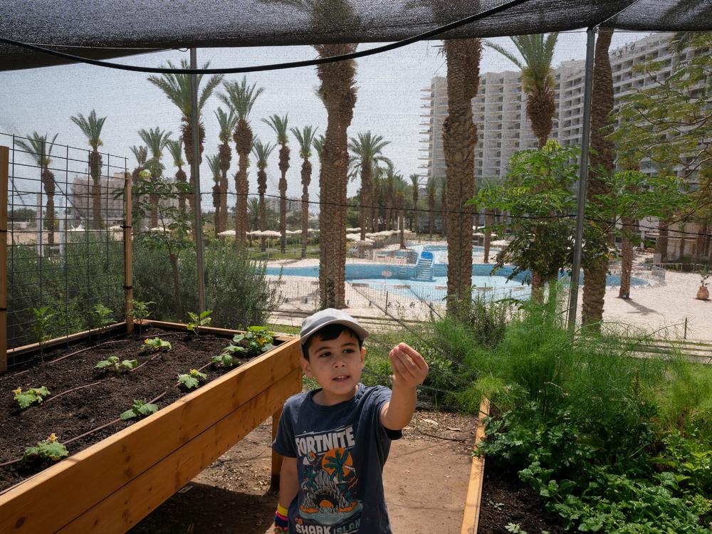 Six-year-old Tzabar Shahar shows off the greens from the garden his class planted early this year on the hotel grounds.