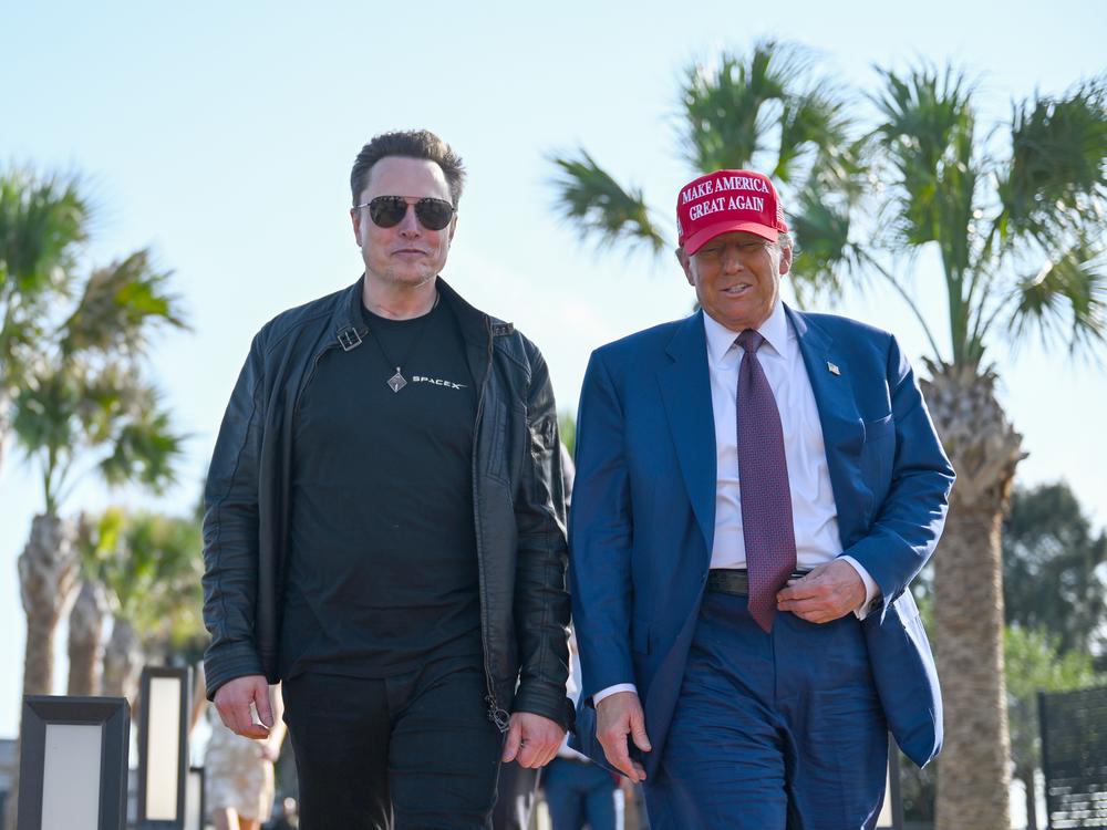President-elect Donald Trump has not yet been sworn in but he and his close adviser Elon Musk are already wielding power in Washington.