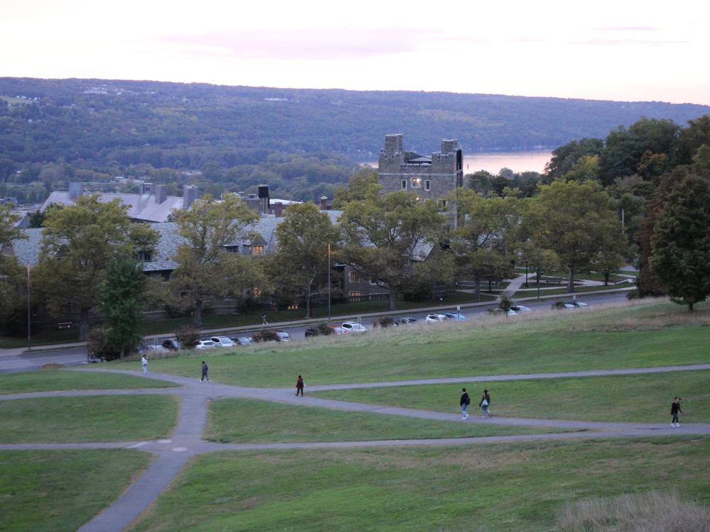 At Cornell University, one professor is helping students navigate their emotions about climate change by learning about food.