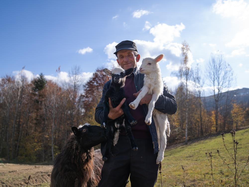 Mikhailo Bilak holds two lambs while their mother looks on.