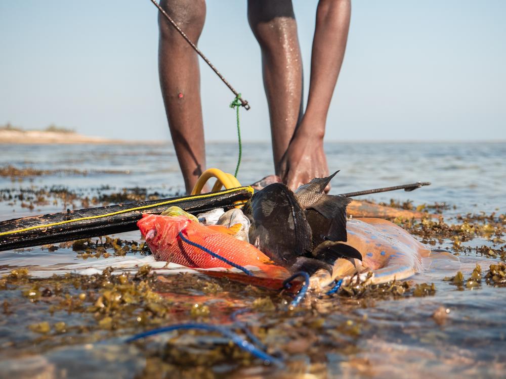 A child spearfishes in the shallow waters of Nosy Maraontaly island. Vezo children learn to freedive at a young age.