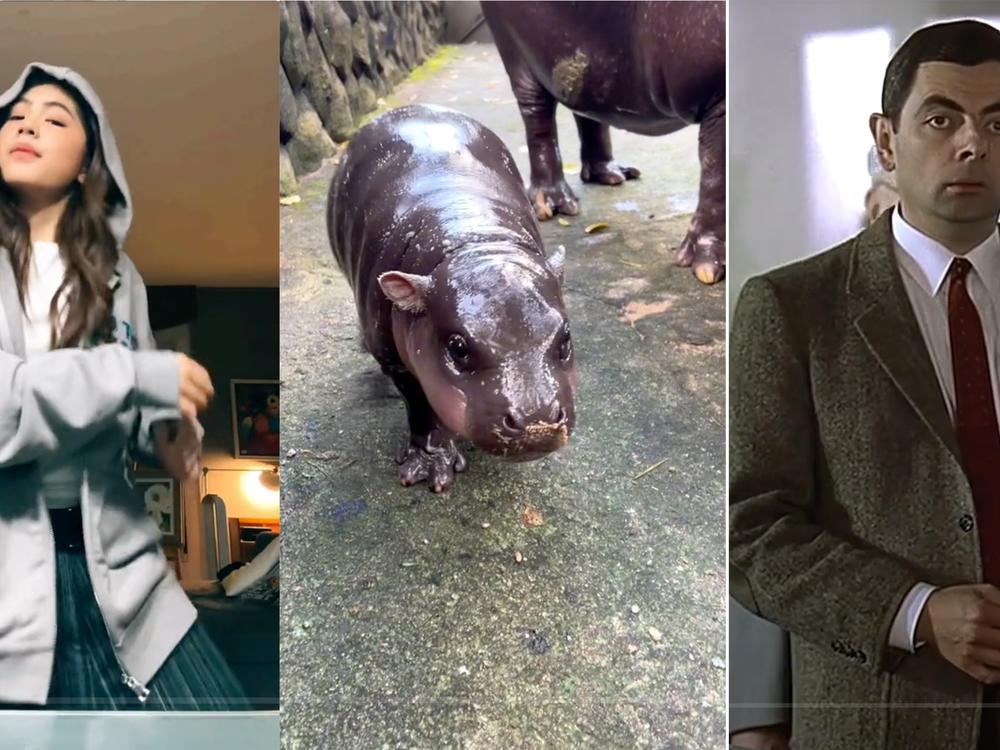 Scenes from some of the most popular TikToks from the Global South in 2024: a dancing teen from the Philippines; that adorable baby pygmy hippo in Thailand; Mr. Bean makes a guest appearance in a TikTok by Khaby Lame.