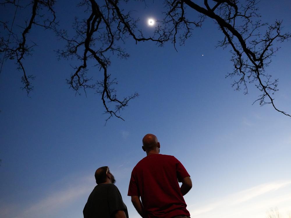 Spectators watch the solar eclipse at Cole Memorial Park in Chester, Ill., on April 8.