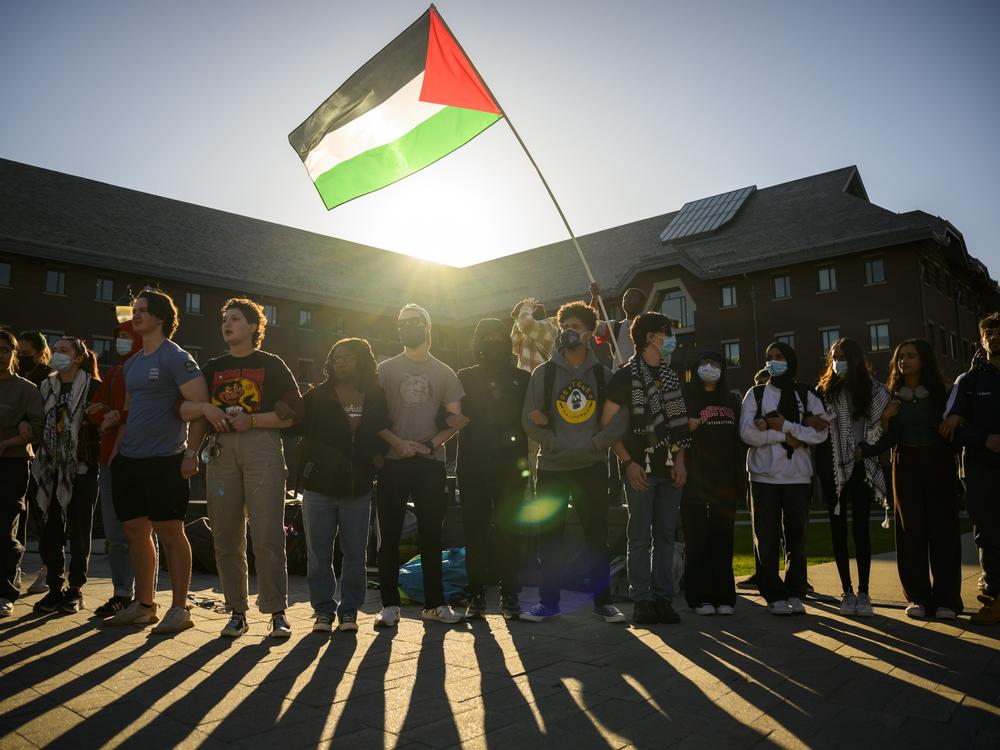 Protesters at the University of Connecticut link arms in a circle during a rally on campus calling for the university to divest from companies they say are playing a role in the Israel-Hamas war. One person was arrested as more than 150 people attended the event on April 25. Full story <a href=