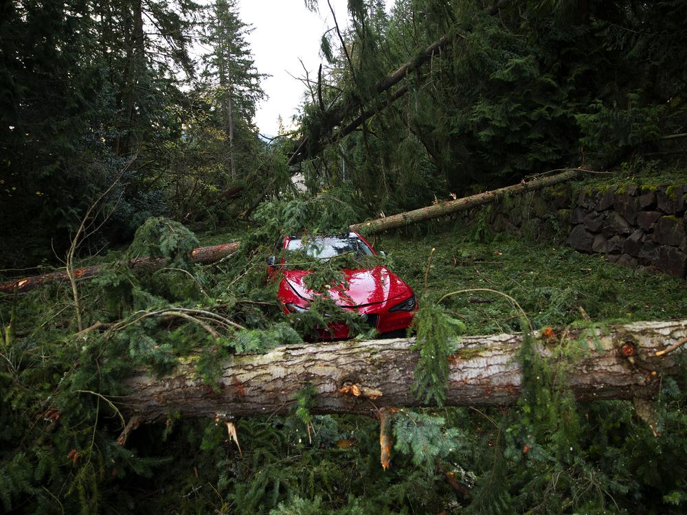 A car sits abandoned surrounded by fallen trees and debris on Nov. 21, along Northup Way in Bellevue, Wash. Full story <a href=