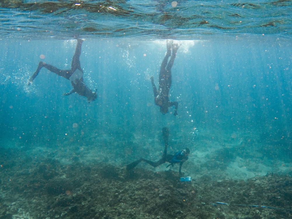 Vezo 'ocean monitors' dive on a coral reef in Madagascar's Barren Isles. The data they collect is used to evaluate ocean health and improve conservation decisions.