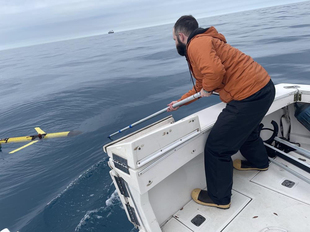 A Teledyne G3 Slocum Glider tries to detect whale sounds off the coast of Georgia. UGA Skidaway Institute doctoral student Frank McQuarrie is taking it out of the water.