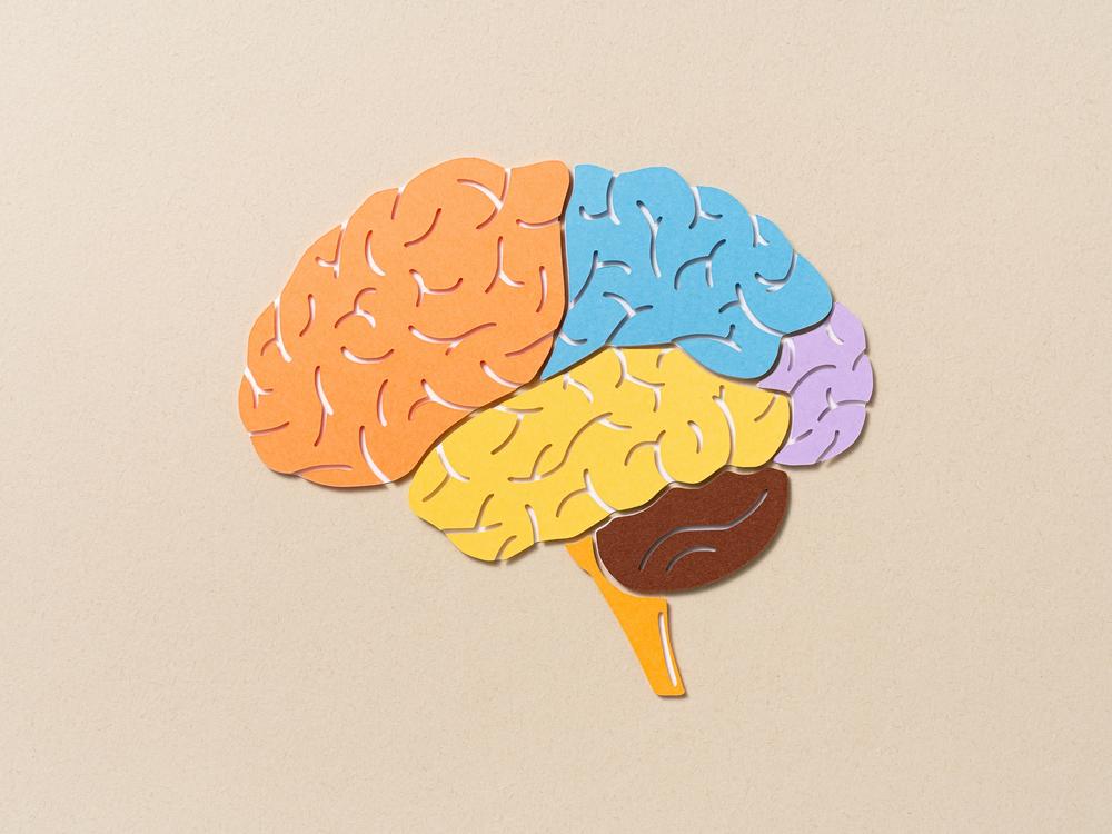 About 40% of dementia cases could be delayed or prevented by addressing 14 modifiable risk factors, according to a Lancet commission report.