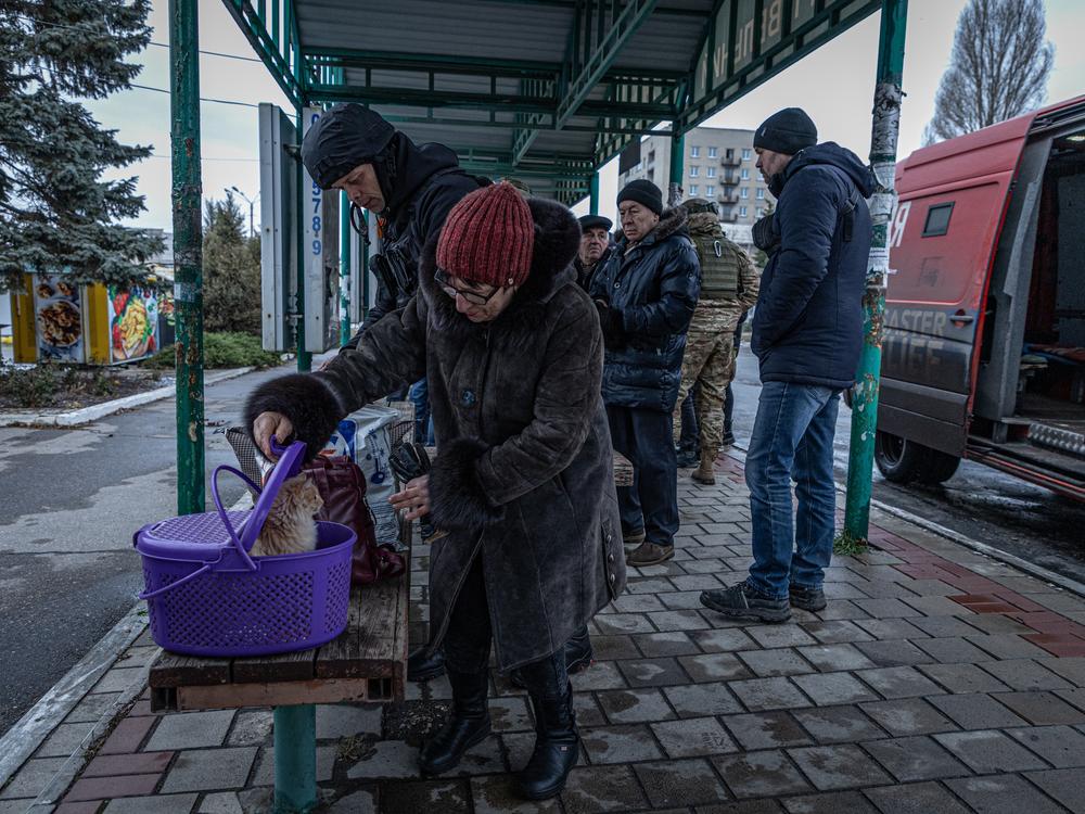 A woman checks her cat while waiting to be evacuated from Pokrovsk as Russians advance on the city in eastern Ukraine.