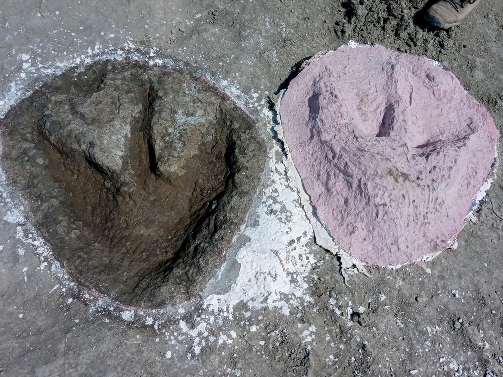 The footprint of what is believed to be a Megalosaurus, a carnivorous 30-foot dinosaur known for its distinctive large three-toed feet with claws.